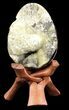 Septarian Dragon Egg Geode - Yellow Calcite #37298-1